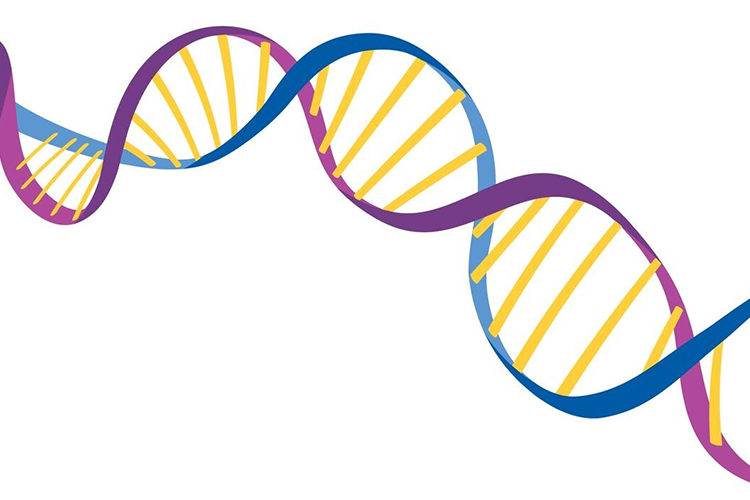 Lynch Syndrome