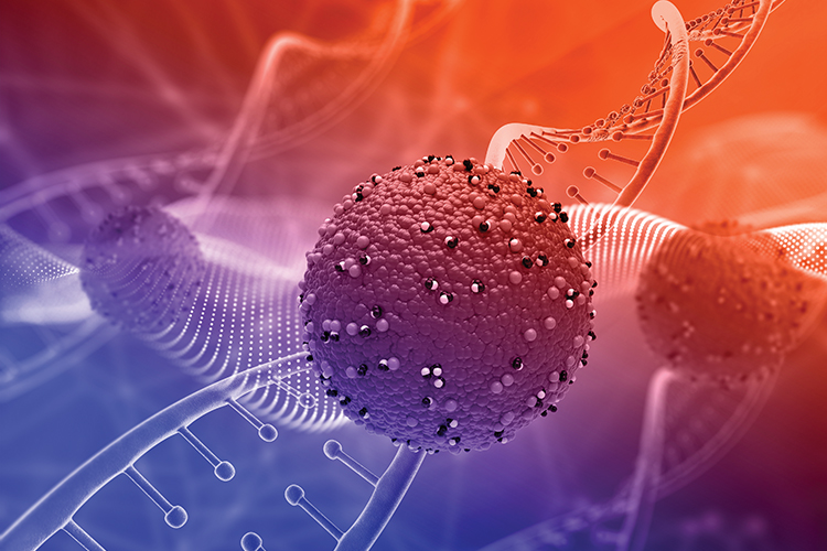 The marriage of chemo immunotherapy in haematological malignancies